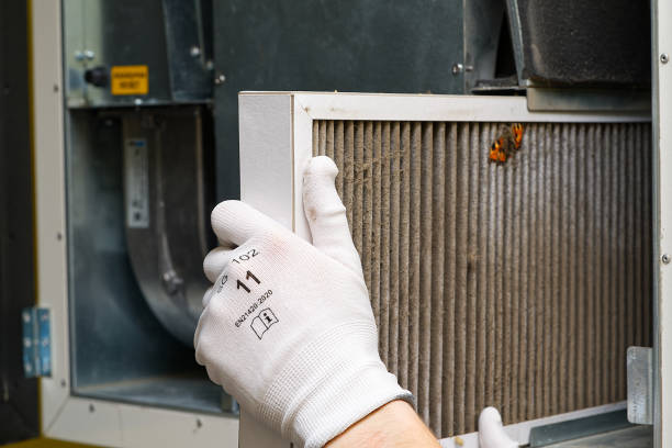 Best Home Air Vent Cleaning  in Fairmont, IL